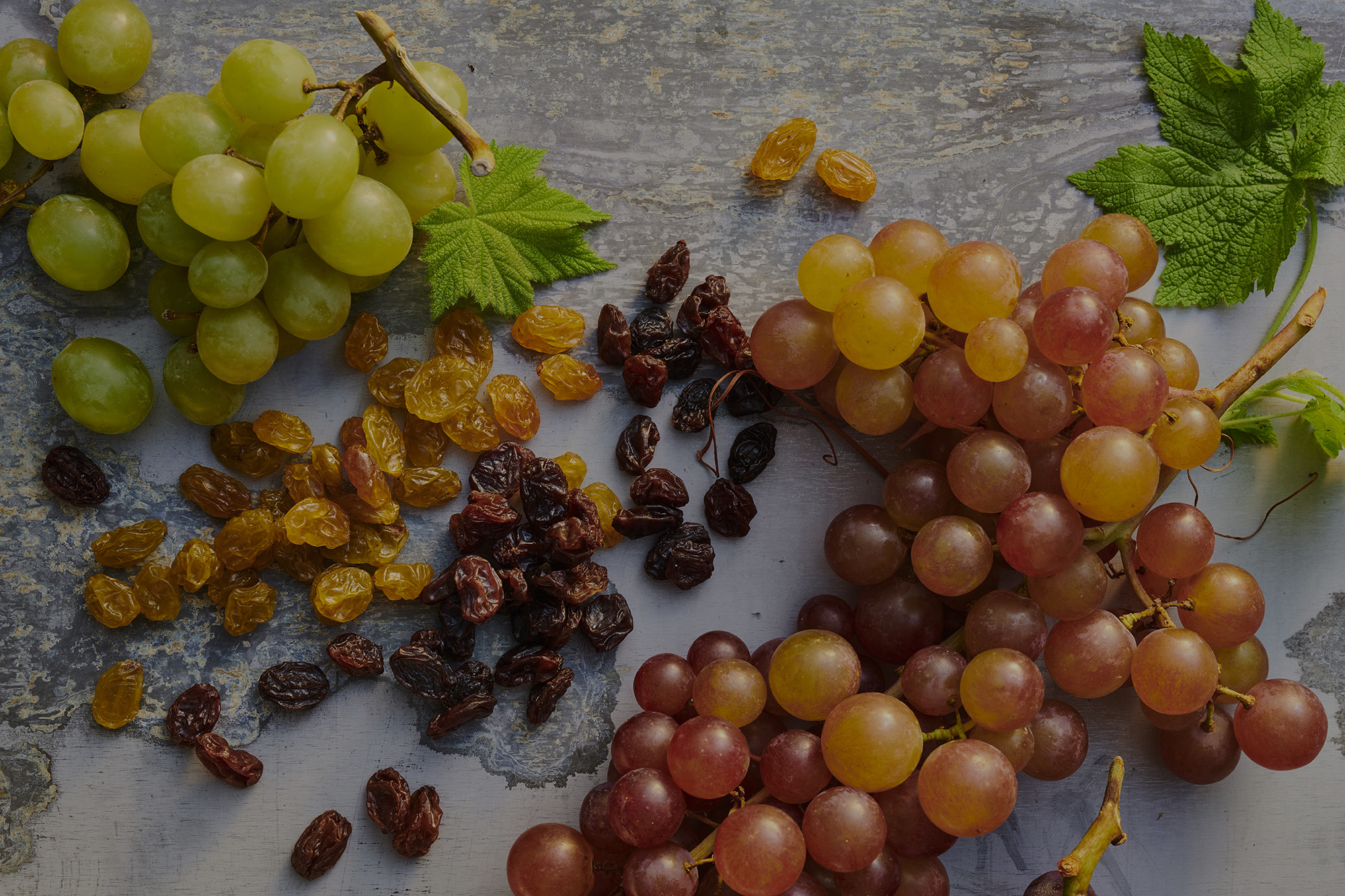 champbrand sitecontenthome herodark National Raisin Company